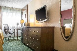 Motel 6 Rochester - Airport Room photo
